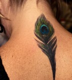 Cute Small Peacock Feather Tattoo on Back