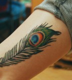 Inner Arm Peacock Feather Tattoo Design