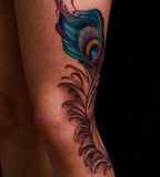 Awesome Peacock Feather Tattoo Design on Leg