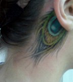 Cute Peacock Feather Tattoo on Ear