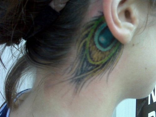 Cute Peacock Feather Tattoo on Ear