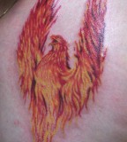 Phoenix Bird Tattoo Meaning