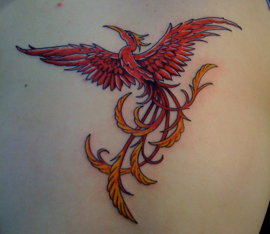 Beautiful Phoenix Tattoos