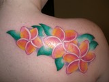 Plumeria with Greean Leaf Tattoo