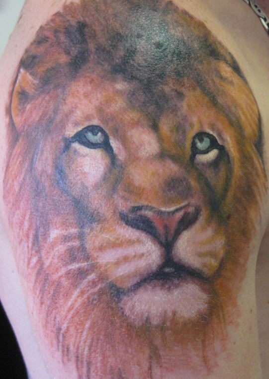 Sad Lion Tattoos Pictures