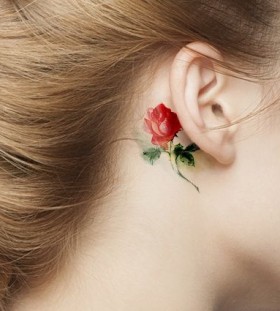 rose behind ear rose behind ear