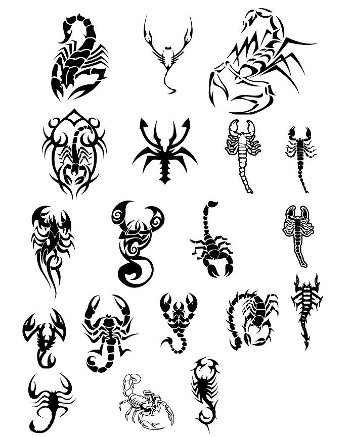 Scorpion Designs Tattoos