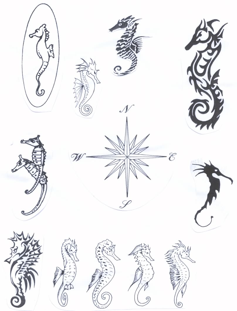 Celtic Seahorse Tattoo Designs