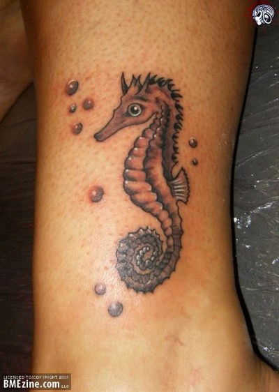 Seahorse Tattoo Designs Symbolize Carefree Movement