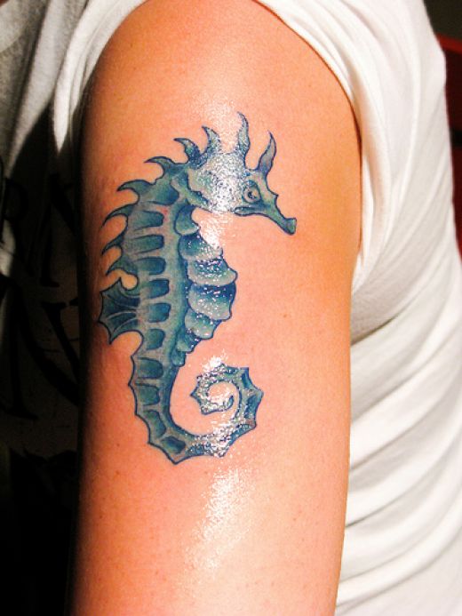 Biceps Sea Horse Tattoo Art