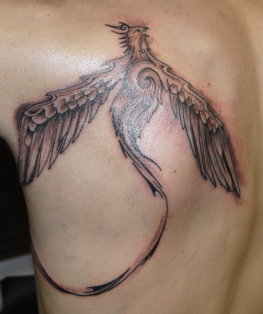 Beautiful Peacock Bird Tattoo on Shoulder-blade – Bird Tattoo