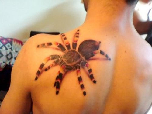 Big Tarantula Shoulder Tattoos