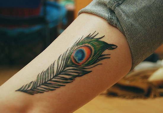Amazing Feather Peacock Tattoo On Leg