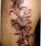 New Cool Tattoo Tiger Lily Tattoo Ideas