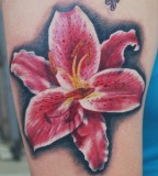 Black Red Stargazer Lily Tattoo By Joshing88