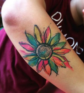 sunflower sunflower