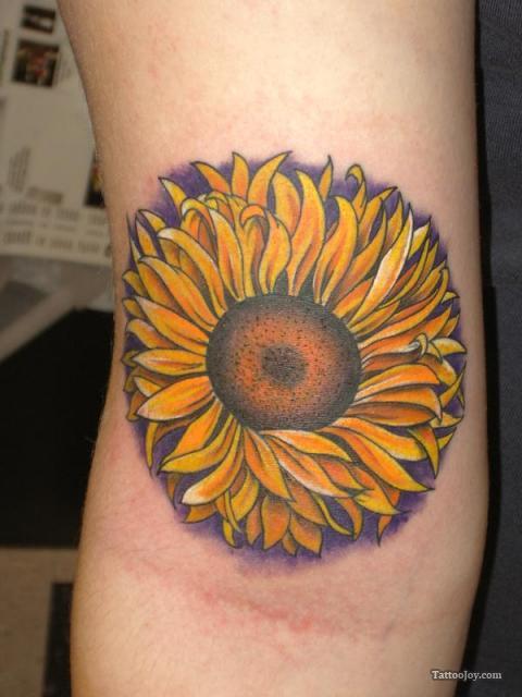 Sunflower Tattoo Design on Arm