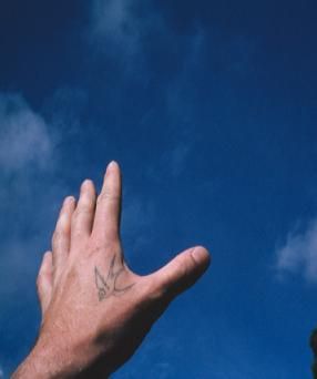 Swallow Bird Tattoo On The Left Hand