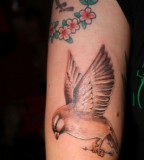Unique Sparrow Shaped Tattoo Design for Girls