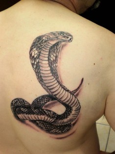 Cobra Tattoo Design For Men