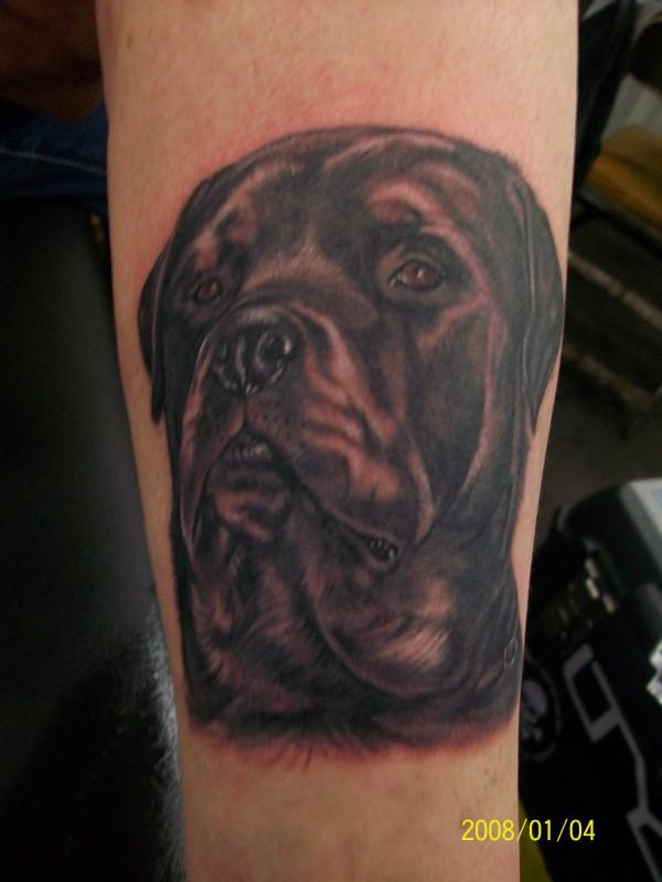 Dog Tattoo Design for Men