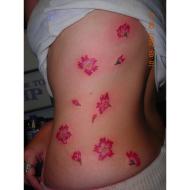 Tattoo Ideas Of Cherry Blossom for Women