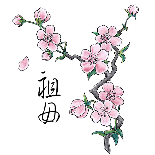 Traditional Chinese Drawing Cherry Blossom Tattoo Design