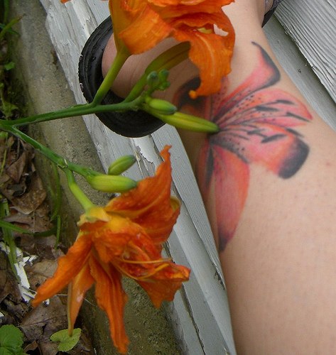 New Cool Tattoo Tiger Lily Tattoo