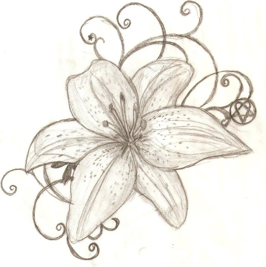 Tattoo Design Tiger Lily Sample