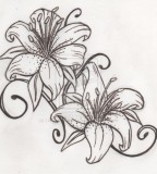 Black and White Tiger Lily Sketch Tattoo
