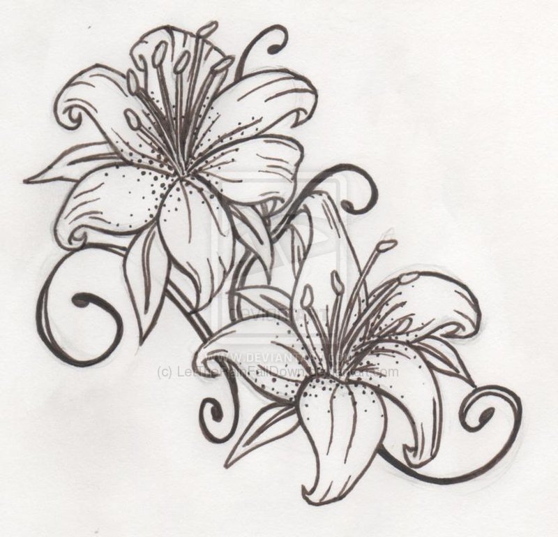 Black and White Tiger Lily Sketch Tattoo