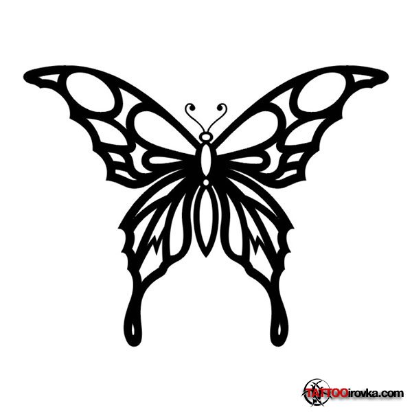 Black Tribal Butterfly Tattoo Sketch