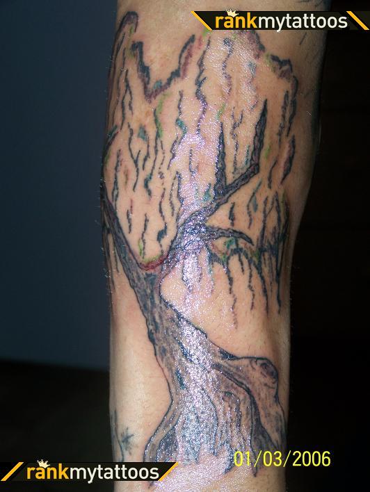 Gorgeous Weeping Willow Tree Tattoo on Half Sleeve