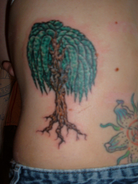 Small Weeping Willow Tattoo Picture