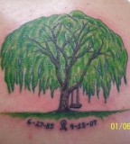 Green Weeping Willow Tree Tattoo Photos 