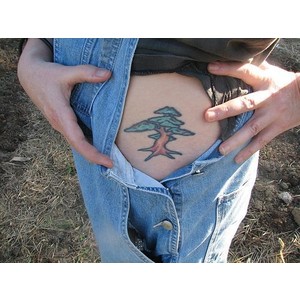 Weeping Willow Tree Tattoos on Side Body