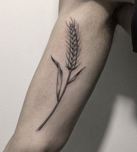 wheat tattoos for men wheat tattoos for men