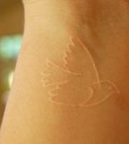 Small Bird White Tattoos An Alternative Tattoo Idea