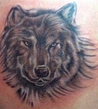 Wolf's Head Body Art Tattoo For Men