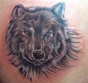 Wolf’s Head Body Art Tattoo For Men