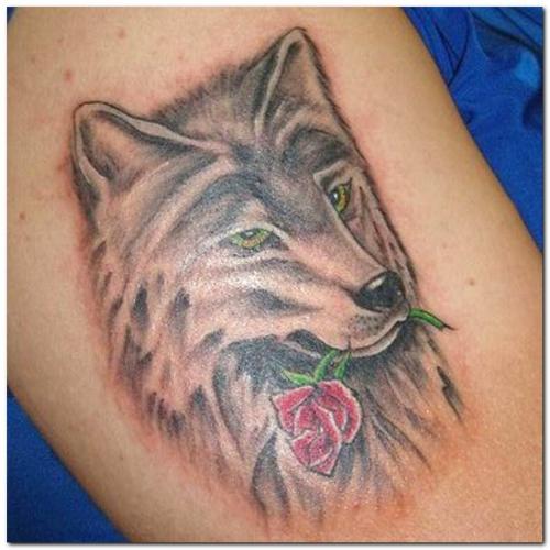 Wolf Biting Rose Tattoo Design For Men